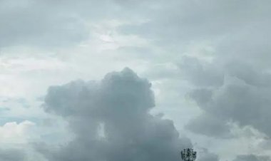 WEATHER ALERT : MP में बदलेगा मौसम का मिजाज, फिर छाएंगे बादल, 2 दिनों बाद बूंदाबांदी की संभावना, तो इन राज्यों में भी बारिश और बर्फबारी !... पढ़े खबर