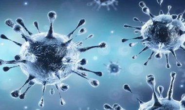 BIG NEWS: MP में थम रहा कोरोना, 24 घंटों में महज 668 नए केस, एक्टिव केसों का आंकड़ा 5 हजार के पार, CM शिवराज ने की बड़ी अपील, पढ़े खबर