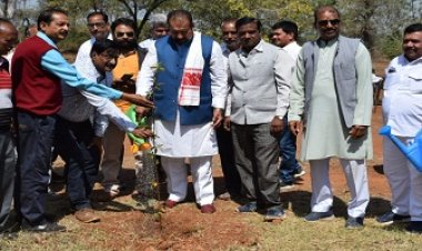 NEWS: विधायक ने किया हिंगोरिया फील्टर प्लांट पर पौधारोपण, बोले- वृक्ष जीवन भर देते है हमारा साथ, पढ़े खबर