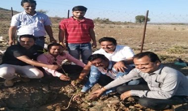 NEWS: रामपुरा नगर में वृक्षारोपण अभियान का समापन, अधिकारियों-कर्मचारियों ने रौपे पौधे, पढ़े रुपेश सारू की खबर