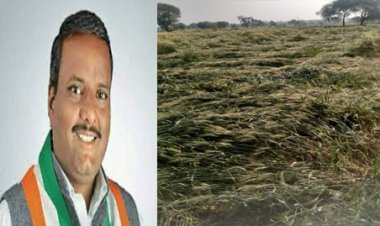 NEWS: नीमच जिले में तेज बारिश के साथ ओलावृष्टि, अफीम सहित तबाह हुई सभी फसले, सत्यनारायण पाटीदार बोले- शासन तत्काल दें मुआवजा, पढ़े खबर