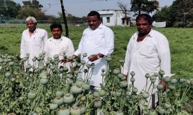 BIG NEWS: पूर्व जनपद अध्यक्ष सत्यनारायण पाटीदार पहुंचे गांव-गांव, ओलावृष्टि से खराब हुई फसलों का किया निरिक्षण, जिला कलेक्टर को लिखा पत्र, तो सांसद गुप्ता से की ये बड़ी मांग, पढ़े खबर