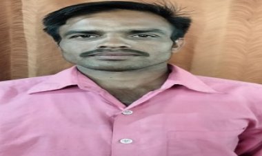 NEWS: चेतन सिंह सिसोदिया बने नमो ग्रुप ग्राम खोर के अध्यक्ष, संगठन को मिलेगी मजबूती, पढ़े खबर