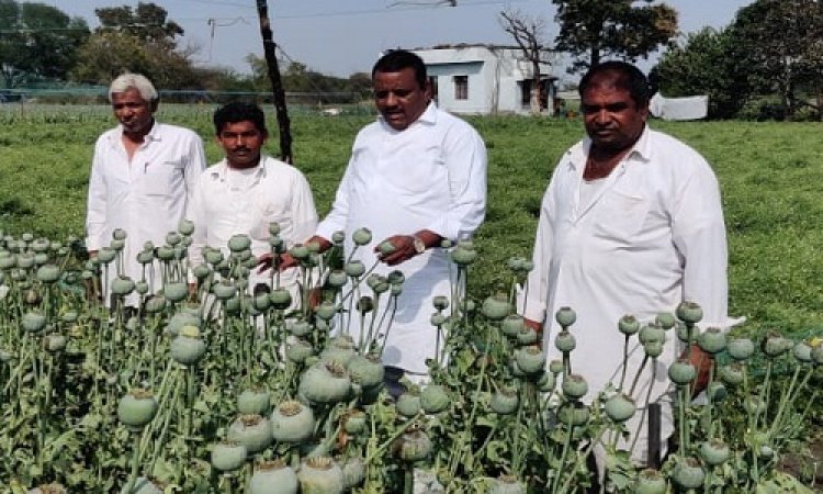 BIG NEWS: पूर्व जनपद अध्यक्ष सत्यनारायण पाटीदार पहुंचे गांव-गांव, ओलावृष्टि से खराब हुई फसलों का किया निरिक्षण, जिला कलेक्टर को लिखा पत्र, तो सांसद गुप्ता से की ये बड़ी मांग, पढ़े खबर