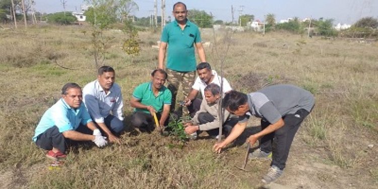 NEWS: मुक्तिधाम कनावटी पर फैली हरियाली, पर्यावरण मित्र मंडल की मेहनत रंग लाई, पढ़े खबर 