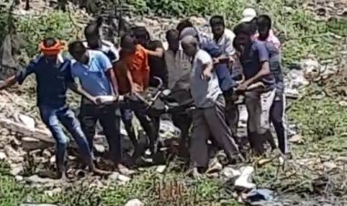 NEWS: दलदल में फंसा गौवंश, गौ सेवकों के प्रयास हुए सफल, 3 घंटे की मशक्कत, और फिर...!, पढ़े खबर