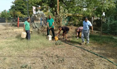 NEWS: पर्यावरण मित्र संस्था ने किया 2 घंटे श्रमदान, मुरझाए पौधों को पिलाया पानी, तो पक्षियों की प्यास बुझाने लगाये सकोरो, पढ़े खबर