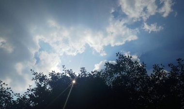 BIG NEWS : MP 12 मई के बाद बदलेगा मौसम का कुछ यु मिजाज,एक्टिव है नया पश्चिमी विक्षोक्ष, नीमच मंदसौर सहित 24 जिलों में यलो अलर्ट जारी,लू के लगेंगे थपेड़े,पढ़े ये खबर