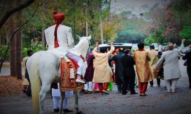 OMG ! गांव में बिंदौलियों का आमना-सामना, आवाज कम करने की बात पर भिड़े DJ वाले, एक ने जड़ा दूसरे को थप्पड़, फिर क्या दूल्हा क्या बाराती !... जमकर चले लात-घूसे और पत्थर, मामला नाहरगढ़ क्षेत्र का, पढ़े खबर