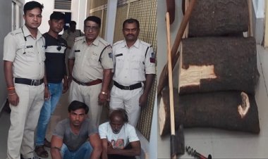 OMG ! ट्रैंडिंग में पुष्पा, राजस्थान से ग्राम बरकटी में दस्तक, फिर काटा पेड़, FIR हुई, तो हरकत में आई जीरन पुलिस, हजारों रूपए का चंदन बरामद, कई उपकरण भी जब्त, पढ़े खबर