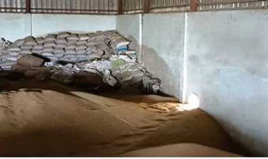 OMG ! शगुन ट्रेडर्स के गोदाम की दीवार में चोरों ने किया छेद, उड़ा डाली धनियें-सरसों की दर्जनों बोरियां, पुलिस जांच में जुटी, पढ़े खबर