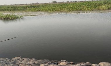 OMG ! हर्कियाखाल के समीप तालाब में हादसा, नहाते समय बालक पानी में डूबा, क्या शव को ले गया मगर, या मामला कुछ और... पुलिस की जांच शुरू, पढ़े ये खबर