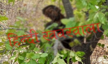 BIG BREAKING: कास्बी के जंगलों में पेड़ पर मिली लाश, चौकीदार ने देखा, तो पुलिस को दी सूचना, कई दिनों पुराना शव लटका-लटका ही सूखा, मामला जीरन थाना क्षेत्र का, पढ़े ये खबर
