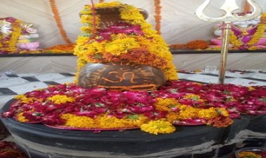 NEWS: मंत्रोच्चारण के साथ शिव परिवार मूर्ति प्राण प्रतिष्ठा कार्यक्रम सम्पन्न, समिति ने जताया आभार, पढ़े खबर