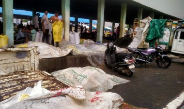 BIG NEWS: रिमझिम बारिश से आमजन को राहत, तो मंडी पहुंचे किसानों के लिए बनी आफत, मंडी प्रशासन पर फूटा आक्रोश, क्या रहा कारण, पढ़े खबर