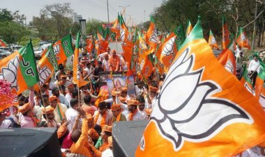 ELECTION NEWS: ELECTION NEWS: रतनगढ़ नगर पंचायत चुनाव, भाजपा ने जारी की अपनी लिस्ट, वार्डो से चौकाने वाले नाम आये सामने, किस बड़े नेता का कट गया टिकट, देखें पूरी सूची