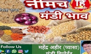 NEEMUCH MANDI : नीमच मंडी में किस जींस के भाव में आई गिरावट, और किसके भाव रहे तेज, देखें महेन्द्र अहीर (प्यासा) की इस मंडी रिपोर्ट में