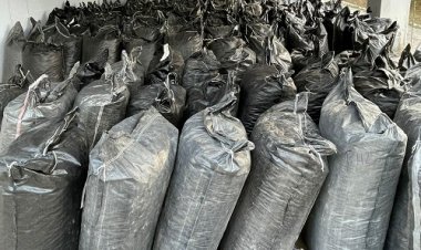 BIG NEWS: नीमच CBN की बड़ी कार्यवाही, ओचड़ी टोल नाके पर टैंकर को रोका, तलाशी में मिली डोडाचूरा की बड़ी खेप, मौके से एक तस्कर भी गिरफ्तार, पढ़े ये खबर