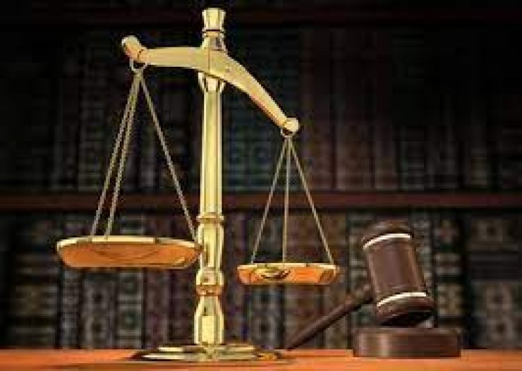 NEWS: नीमच शहर में यातायात पुलिस की बड़ी कार्यवाही, फिर वाहन चालकों की न्यायालय में पेशी, तो हजारों के अर्थदंड से किया दंडित, पढ़े ये खबर