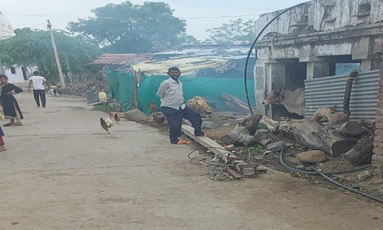 OMG ! ग्राम सिरखेड़ा में जमीन पर रेंग रहीं मौत, रहवासियों में पनपा भय, जनपद सदस्य प्रतिनिध ने दिखाई गंभीरता, अब जिला कलेक्टर तक पहुंची शिकायत, तो इन अधिकारीयों को भी व्हाट्सएप्प मैसेज...! पढ़े ये खबर