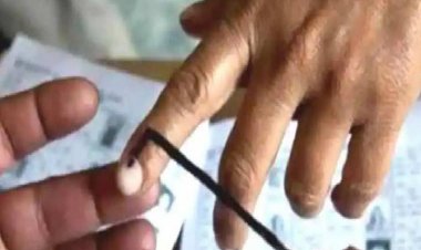 BIG NEWS: नगरीय निकाय चुनाव, मतदान का प्रथम चरण 6 जुलाई को, नीमच-जीरन में अवकाश घोषित, पढ़े खबर