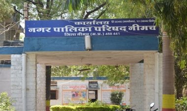 ELECTION NEWS: नगर पालिका चुनाव, मतदाताओं में दिखा उत्साह, जाने कितने प्रतिशत हुआ मतदान, पढ़े खबर