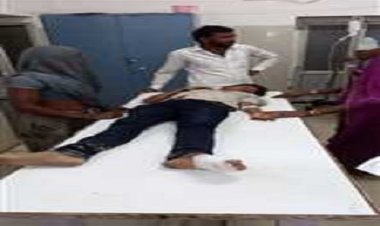 OMG ! नदी में नहाते बालक, मगरमच्छ ने पकड़ा लक्की को, तो छूटा चंगुल से, फिर गोलू को मुहं में जकड़ा, और घूमता रहा पानी में, चंबल नदी में मौत का भयावाह मंजर, पढ़ेंगे तो खड़े हो जाएंगे रौंगटे