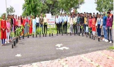 NEWS: ग्रेसिम संस्था ने महाविद्यालय में किया पौधरोपण, छात्रों ने भी किया सहयोग, पढ़े बबलू यादव की खबर