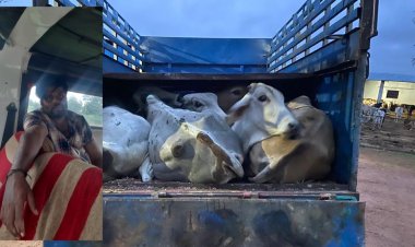 BIG NEWS : नीमच-मंदसौर का बॉर्डर ईलाका,ओर तस्करो की इंट्री,फिर इस दल ने दिखाया दम,जान हथेली पर ले किया पीछा,तो उड़े सभी के होश,तस्करी का अब ये तरीका भी,पढ़े ये खबर