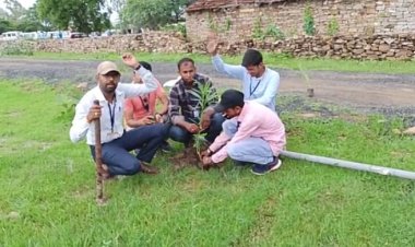 NEWS:  सामाजिक संस्था बी.आर. फाउंडेशन की अनूठी पहल, इन जगहों पर किया वृक्षारोपण, साथ ही कि ये अपील, पढ़े खबर