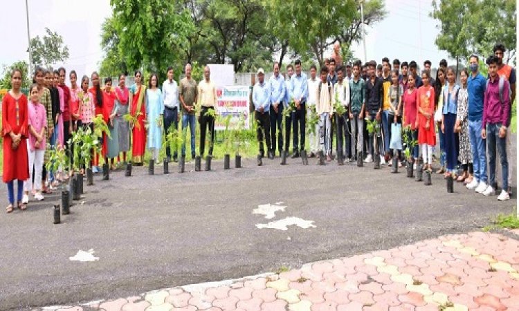 NEWS: ग्रेसिम संस्था ने महाविद्यालय में किया पौधरोपण, छात्रों ने भी किया सहयोग, पढ़े बबलू यादव की खबर
