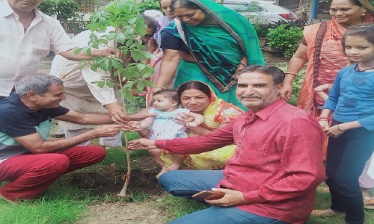 NEWS: हरियाली महोत्सव, हुड़कों कॉलोनी के रहवासियों की पहल, पूजा-अर्चना के साथ रोपित किया कल्पवृक्ष का पौधा, क्या है धार्मिक महत्व, पढ़े खबर