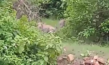 OMG: पहाड़ों के बीच विराजित जलेश्वर महादेव, दर्शन करने से पहले जान ले सच, इस जोड़े फैला दी दशहत, जिसने भी देखा हो गया रफूचक्कर, पढ़े राजेश प्रपन्न की ये खबर