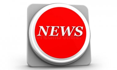 NEWS: गणेश उत्सव के फूलों का अनोखा इस्तेमाल, बनाई जाएगी 20 टन खाद, पढ़े ये खबर
