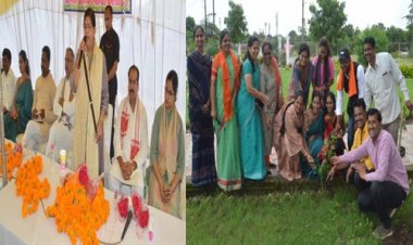 NEWS: अंकुर अभियान, अमृत गार्डन में विशेष कार्यक्रम संपन्न, प्रभारी मंत्री सहित सांसद, विधायक व नपाध्यक्ष ने किया पौधारोपण, पढ़े खबर