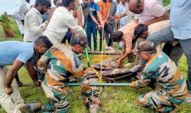 BIG NEWS : नदी नाले डेम लबालब, नारायणगढ़ क्षेत्र में दिखा विशालकाय मगरमच्छ,ग्रामीणों में दहशत,पहुंची रेस्क्यू टीम,फिर कड़ी मशक्कत,ओर ऐसे लगा ये हाथ,पढ़े ये खबर