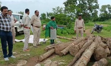BIG NEWS : फिल्म पुष्पा की तर्ज पर तस्करी,लिया नदी का सहारा,ओर बहा दी बेशकीमती सागौन की लकड़िया,वन विभाग को मिली सूचना,तो लगाई दौड़,मामला वन मंत्री के प्रभार क्षेत्र का,देखे ये खास खबर