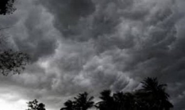 WEATHER: फिर बदला मौसम, नीमच मंदसौर सहित 10 जिले और 7 संभागों मे बारिश की चेतावनी, पढ़े खबर