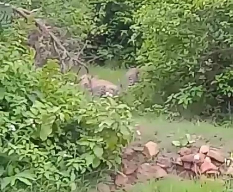 OMG: पहाड़ों के बीच विराजित जलेश्वर महादेव, दर्शन करने से पहले जान ले सच, इस जोड़े फैला दी दशहत, जिसने भी देखा हो गया रफूचक्कर, पढ़े राजेश प्रपन्न की ये खबर