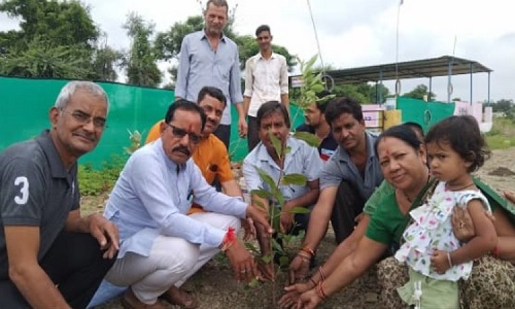NEWS: अंकुर अभियान, सिंगोली में विभिन्न क्षेत्रों में हुआ पौधारोपण, जनप्रतिनिधि और गणमान्य नागरिक भी रहें मौजूद, पढ़े खबर
