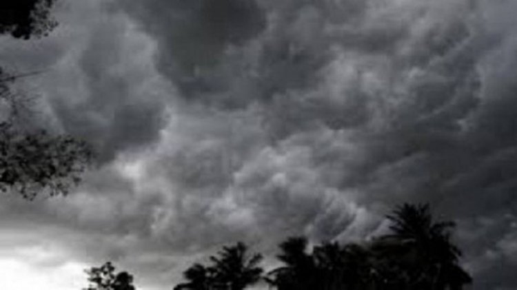 WEATHER: फिर बदला मौसम, नीमच मंदसौर सहित 10 जिले और 7 संभागों मे बारिश की चेतावनी, पढ़े खबर