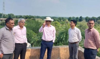 NEWS: जिला कलेक्टर ने पंचफल उद्यान धनोरा में किया पौधरोपण, सामुदायिक विकास कार्यों की ली जानकारी, पढ़े खबर