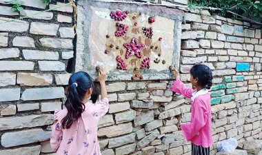 NEWS: लुप्त हो रही संजा बनाने की परंपरा, पर नीमच जिले में यहां आज भी लगातार जारी, गोबर के उकेरी अलग-अलग आकृति, पढ़े मनीष जोलान्या की खबर