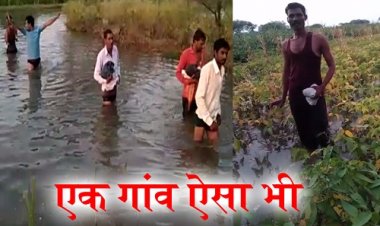 OMG ! जीरन का एक गांव ऐसा भी... बारिश होते ही ग्रामीण परेशान, खेत के साथ पुलियां भी लबालब, गहरे पानी से होकर पहुंचते अपनी मंजिल पर, शिकायते कई, पर हालात जस के तस, पढ़े राजेश प्रपन्ना की खबर