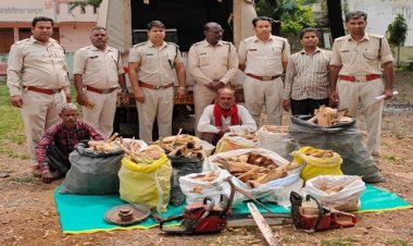 BIG NEWS: वन विभाग की जीरन क्षेत्र में बड़ी कार्यवाही, पेड़ की कटाई करते 2 आरोपी गिरफ्तार, लाखों की चंदन भी जब्त, पढ़े खबर
