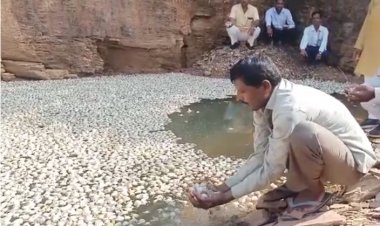 BIG NEWS: उचित दाम नहीं मिले, तो पनपा आक्रोश, 12 क्विंटल लहसुन बहाई पानी में, किसान ने कुछ यूं जताई नाराजगी, मामला- मल्हारगढ़ क्षेत्र के इस गांव का, पढ़े नरेंद्र राठौर की खबर