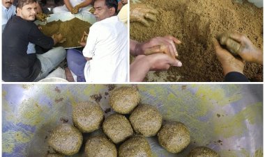 NEWS: लम्पी का प्रकोप, पिपलियामंडी के समाजसेवी ने अपनाया ये तरीका, गायों की बढ़ेगी रोग प्रतिरोधक क्षमता, वायरस से सामना करने की होगी उपयोगी साबित, पढ़े खबर