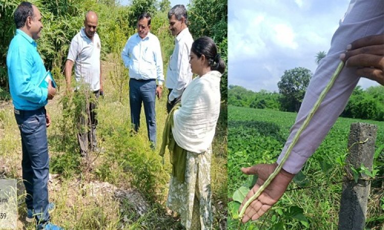 NEWS: आंध्र प्रदेश आयुष विभाग कमिश्नर पहुंचे इस गांव में, वाटिका का किया निरीक्षण, नीमच के अधिकारी भी रहें मौजूद, पढ़े खबर