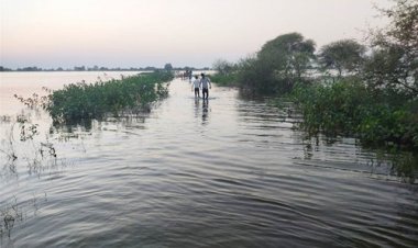 OMG ! घर लौटती महिलाएं चंबल नदी में उतरी, रास्ता भटकी, तो समां गई मौत के मुहं में, 5 शव मिलते ही मचा हाहाकार, 2 बच्चों की ऐसे बच गई जान, मामला- शामगढ़ क्षेत्र का, पढ़े ये खबर