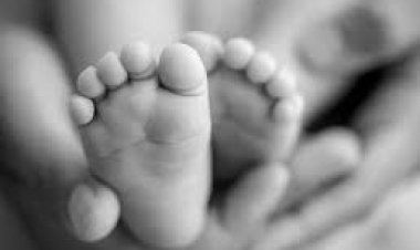 BIG NEWS: लापरवाही रही तो ताप बन बैठा काल, शिशु इकाई में दो नवजात की मौत, कहां हुई बड़ी चूक...! मामला- राजस्थान के इस जिले का, पढ़े रौंगटे खड़े कर देने वाली ये खबर